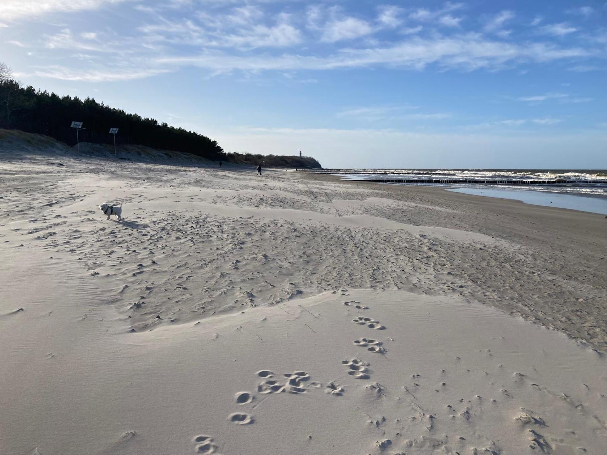 E-Baltic - Niechorze, Your Beachfront Apartments, Eksteriør billede